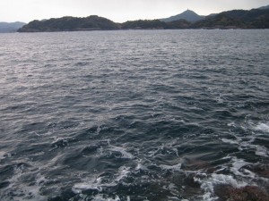野井の海2012年1月15日