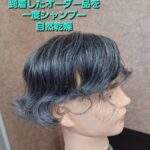 人工毛75％のオーダー品