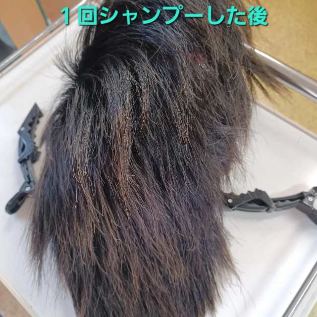 IMG_20240330_121051_323 (1)